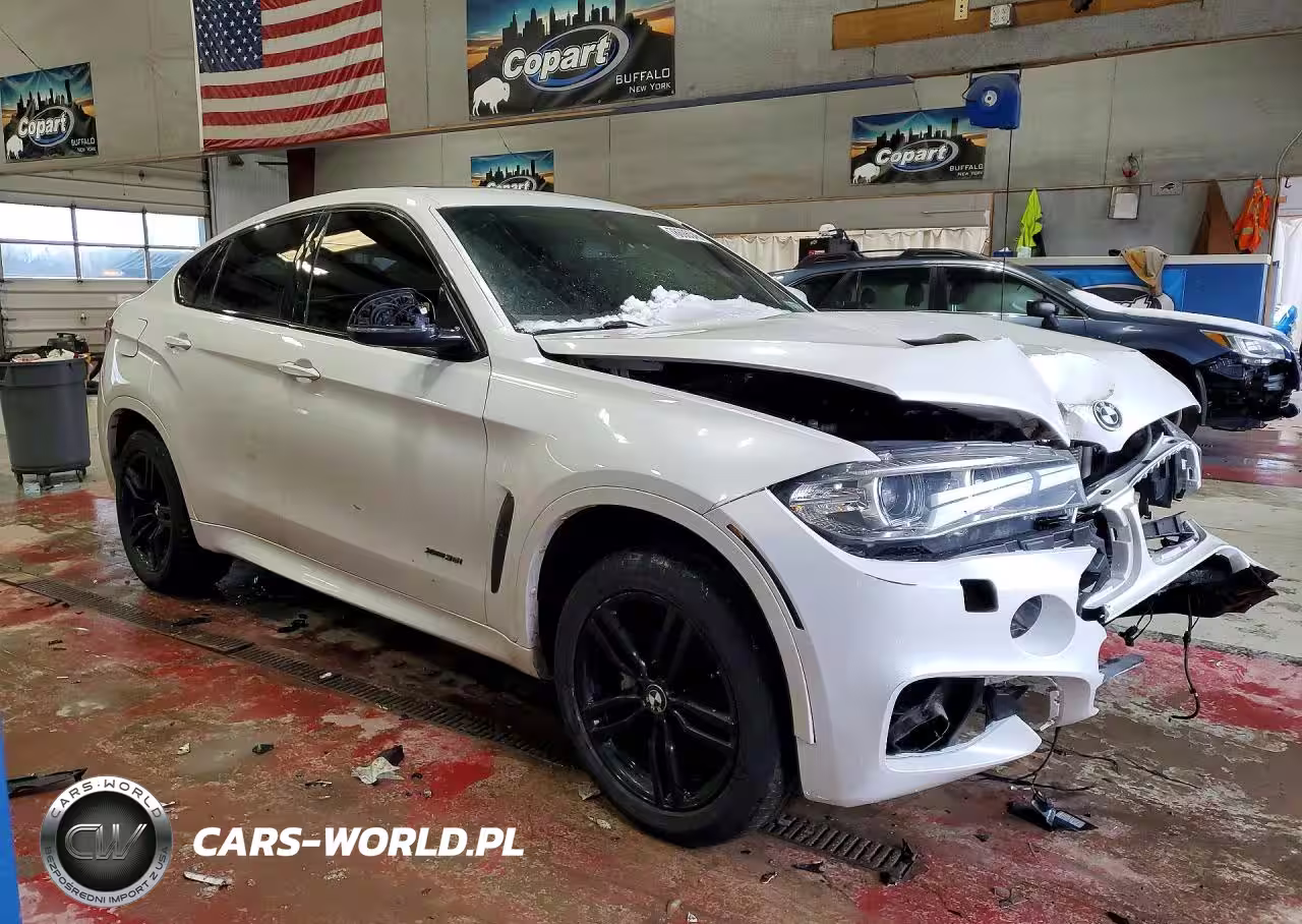 2016 BMW X6 xDrive35I VIN:5UXKU2C53G0N83754 - 4