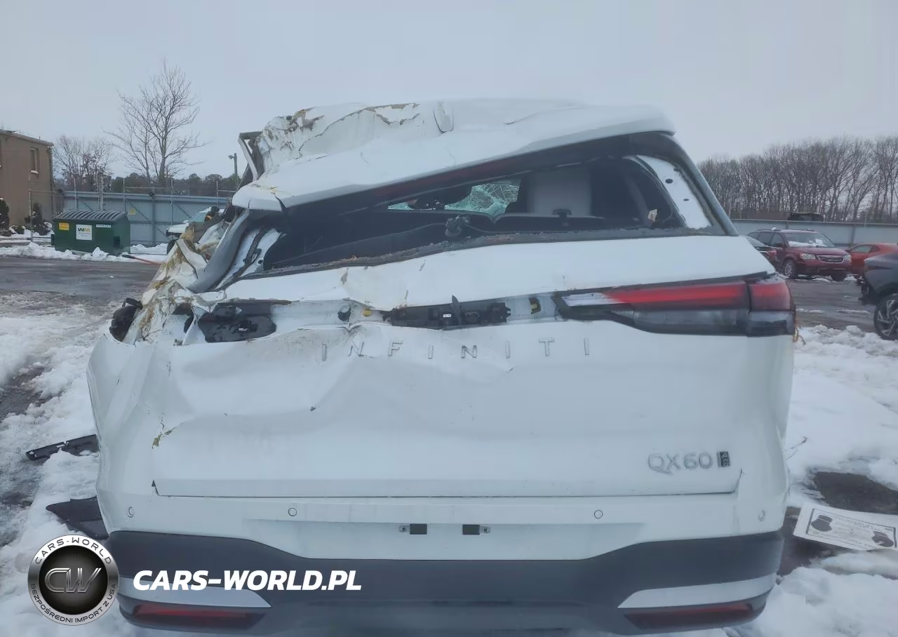 2026 Infiniti Qx60 Pure VIN:5N1AL1ES6TC342773 - 6