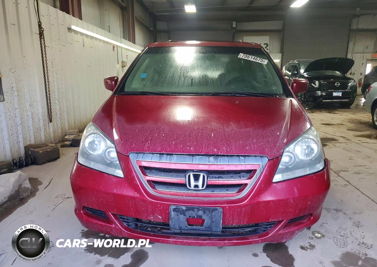 2005 Honda Odyssey Exl VIN:5FNRL38765B035457 - 5
