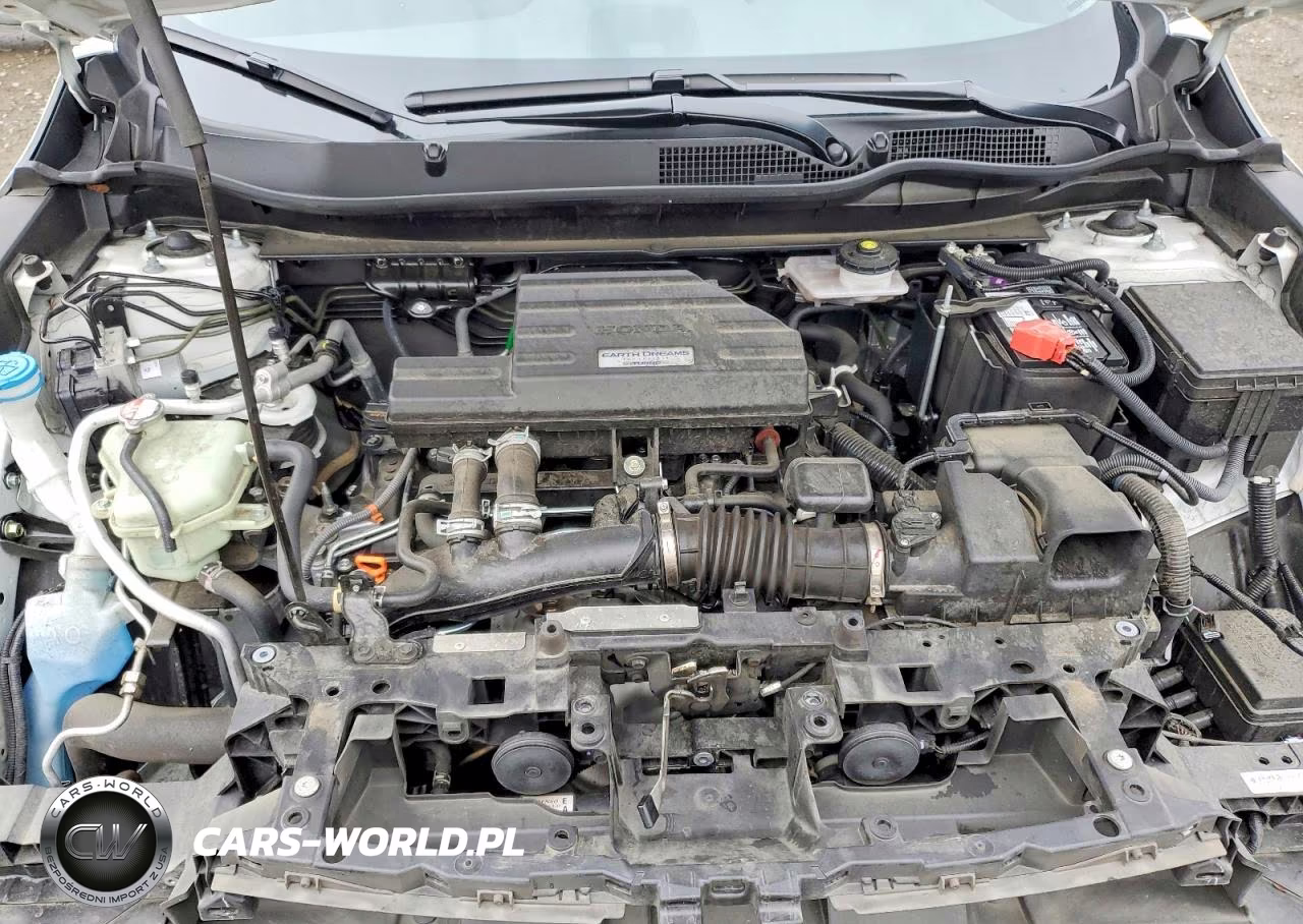 2019 Honda Cr-V Exl VIN:7FARW2H8XKE064504 - 12