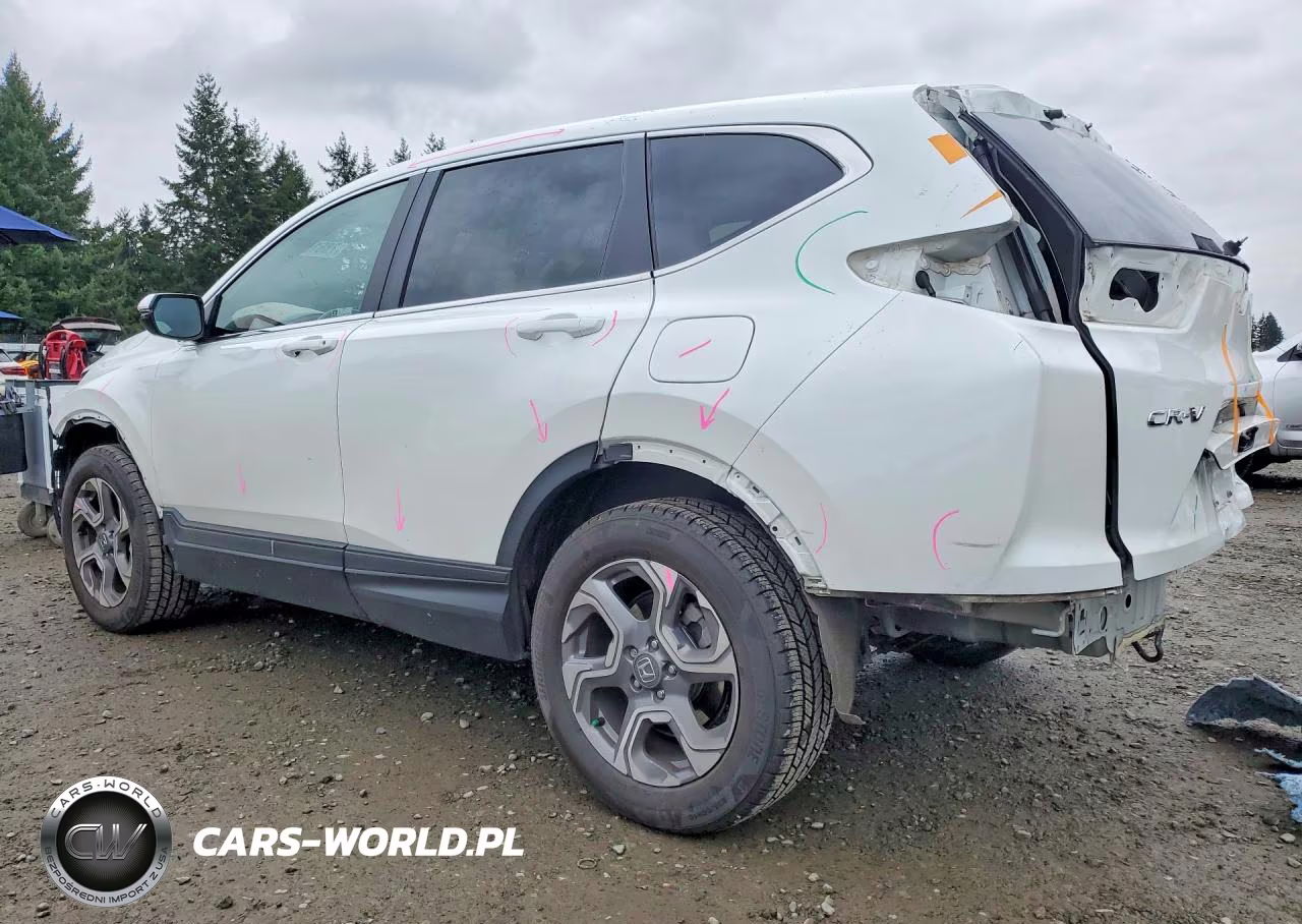 2019 Honda Cr-V Exl VIN:7FARW2H8XKE064504 - 2