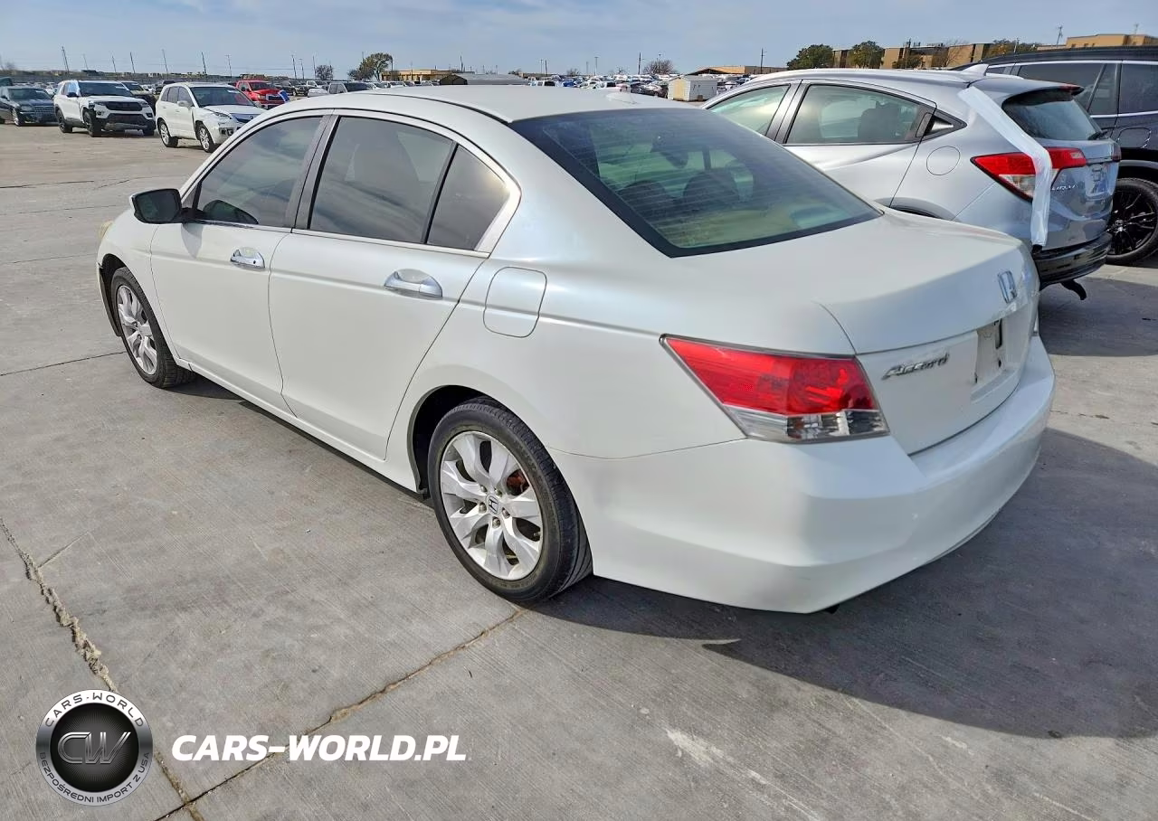 2009 Honda Accord Exl VIN:1HGCP368X9A004766 - 2
