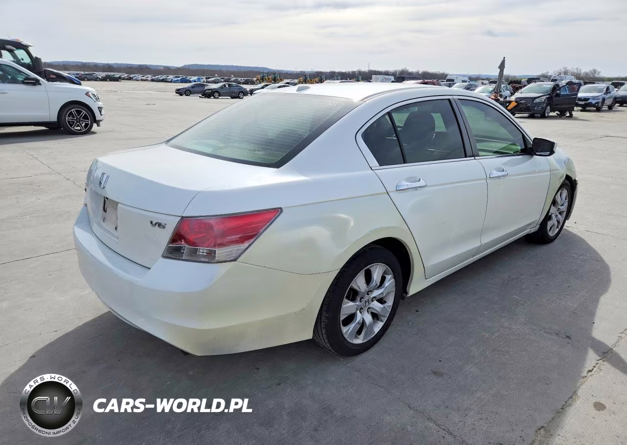 2009 Honda Accord Exl VIN:1HGCP368X9A004766 - 3