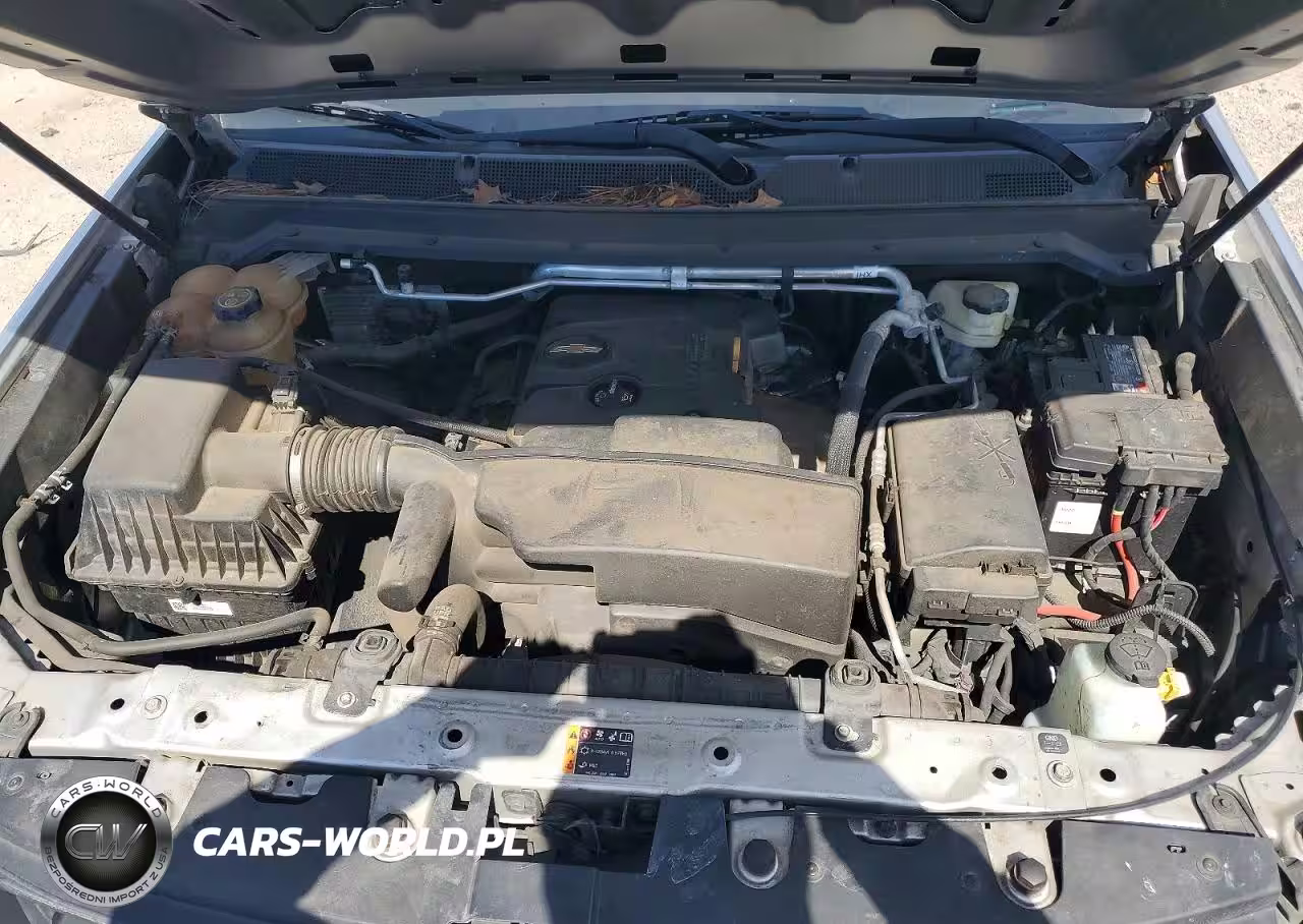 2019 Chev Colorado VIN:1GCGSBEA1K1338753 - 11
