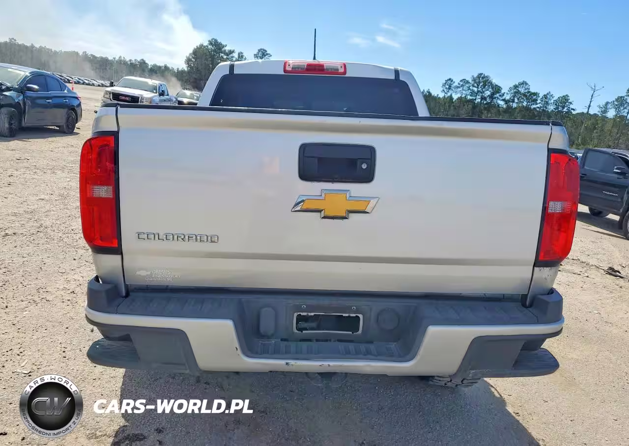 2019 Chev Colorado VIN:1GCGSBEA1K1338753 - 6