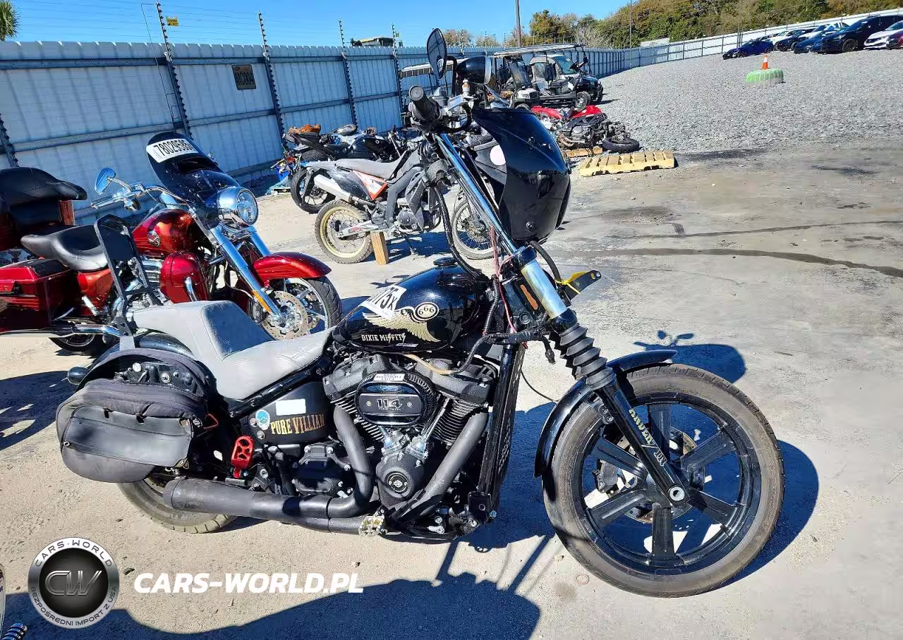 2024 Harley-Davidson Fxbbs