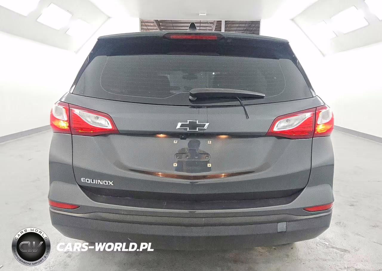 2019 Chevrolet Equinox Ls VIN:3GNAXHEV9KS617144 - 6