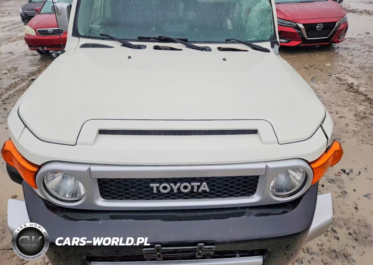 2014 Toyota Fj Cruiser VIN:JTEBU4BFXEK206228 - 11