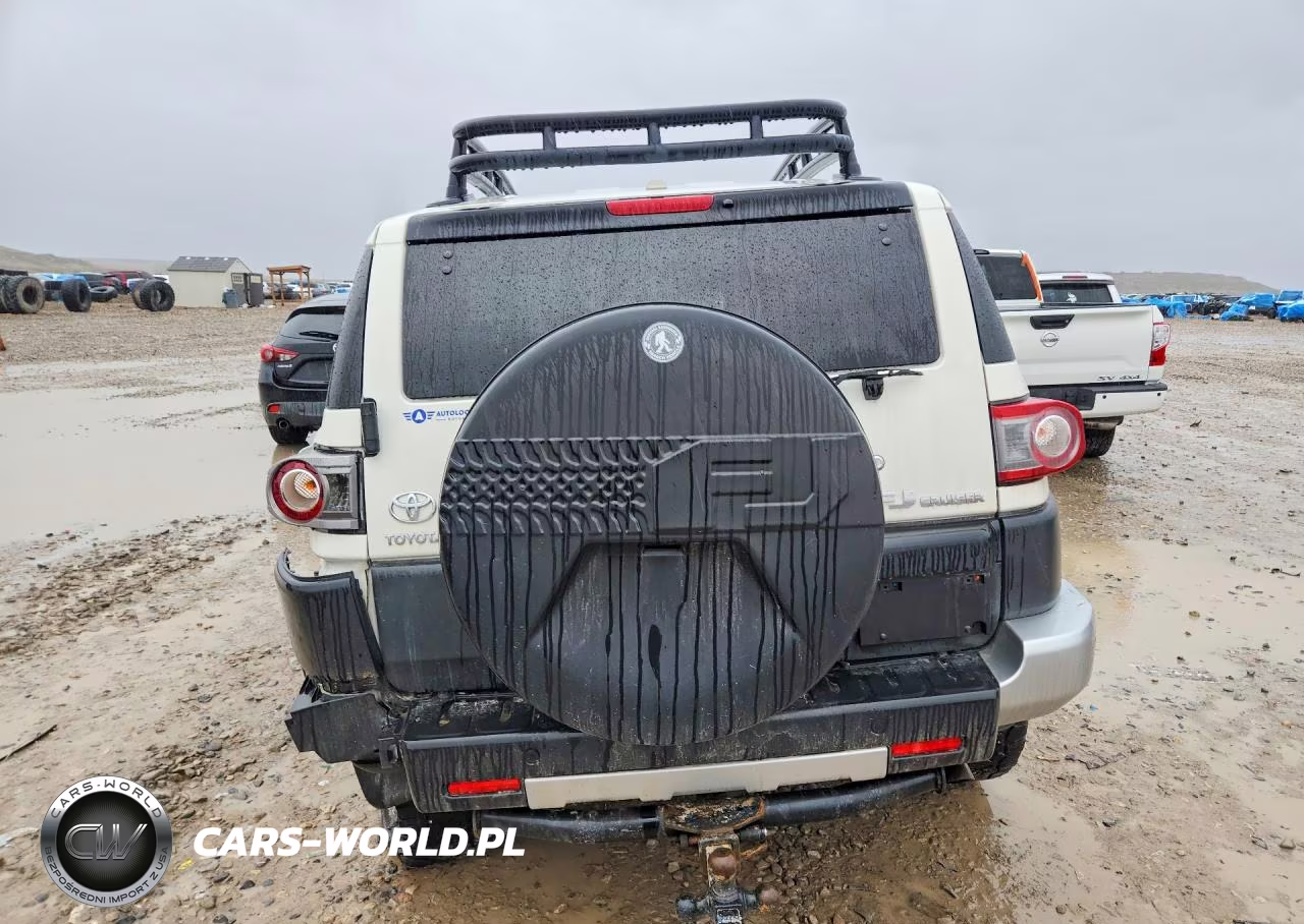 2014 Toyota Fj Cruiser VIN:JTEBU4BFXEK206228 - 6