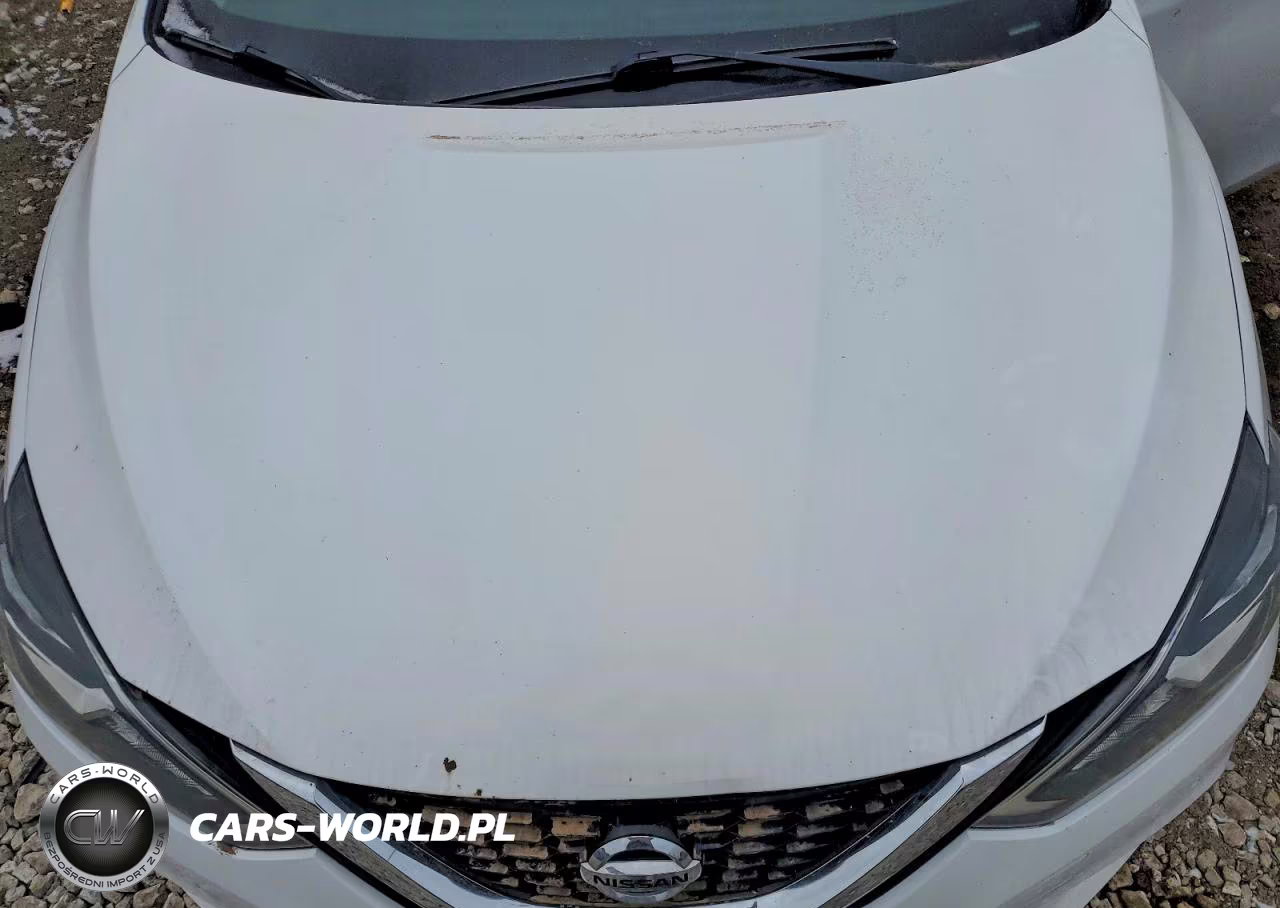 2017 Nissan Sentra VIN:3N1AB7AP0HY257232 - 11