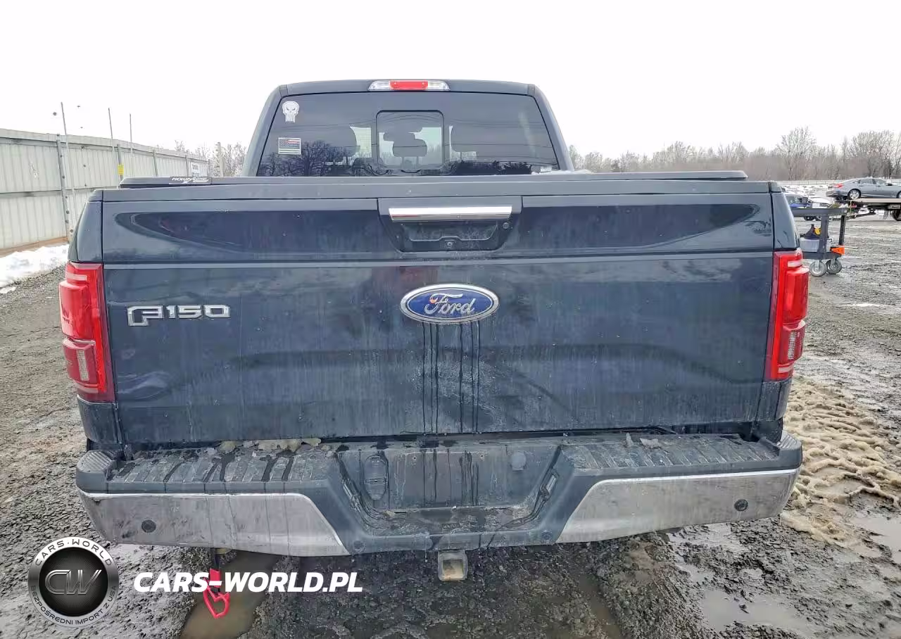 2017 Ford F150 Supercrew VIN:1FTFW1EG2HKD02054 - 6