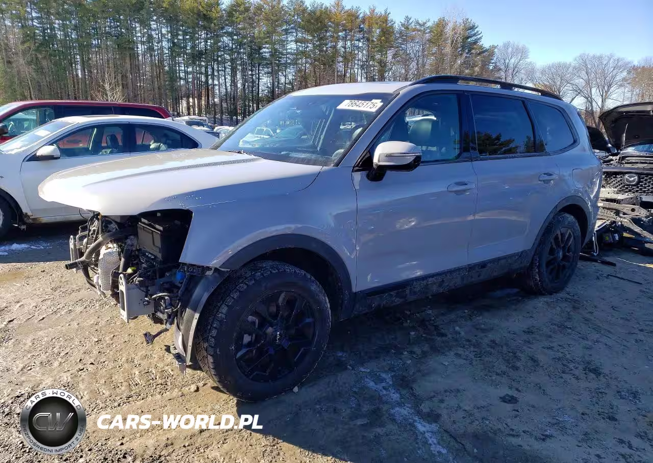 2024 Kia Telluride Sx-Prestige X-Pro
