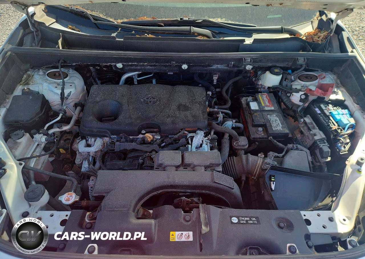 2020 Toyota Rav4 Xle VIN:2T3P1RFV7LC076268 - 12