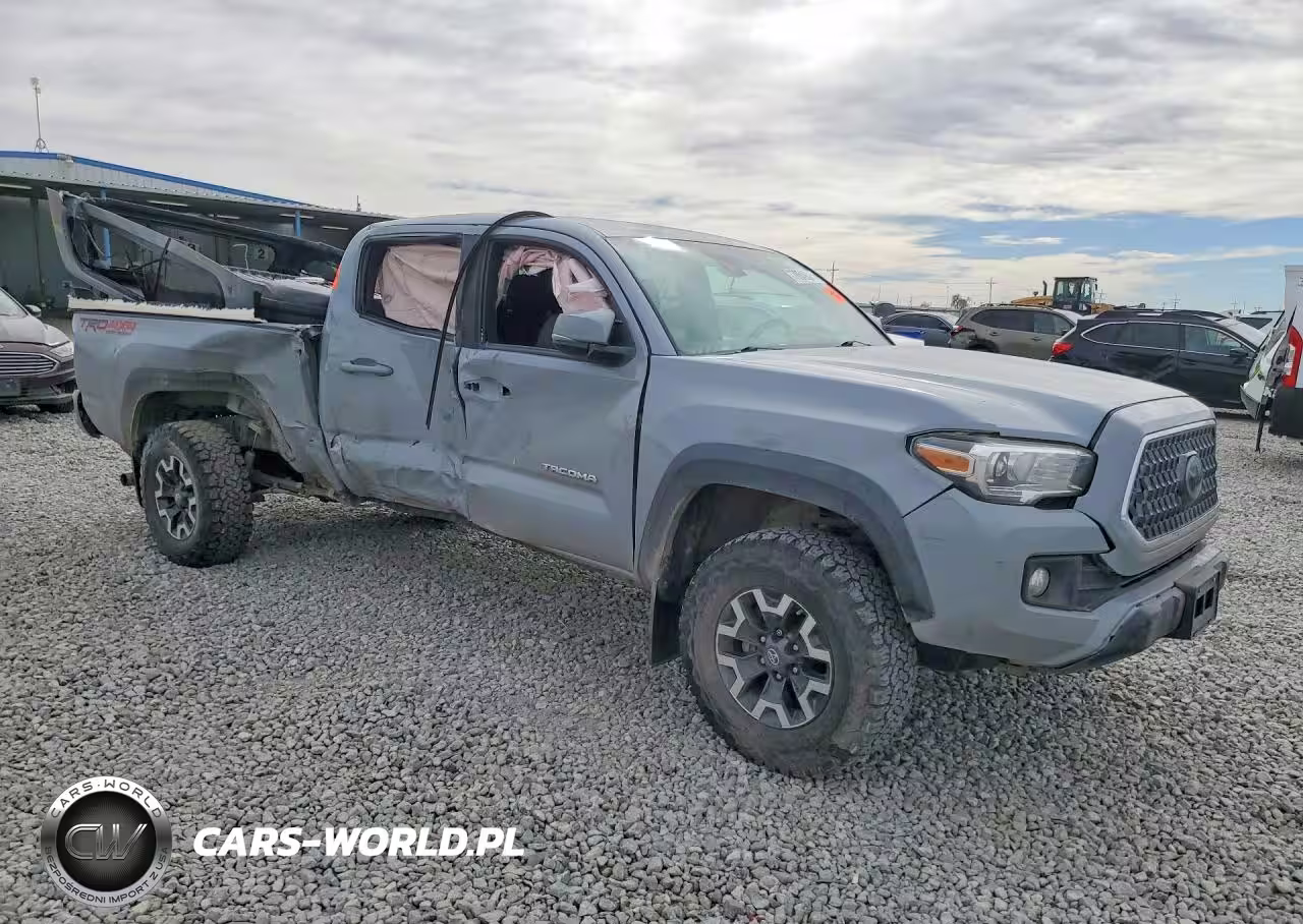 2019 Toyota Tacoma Trd Off-Road VIN:3TMDZ5BN5KM064614 - 4