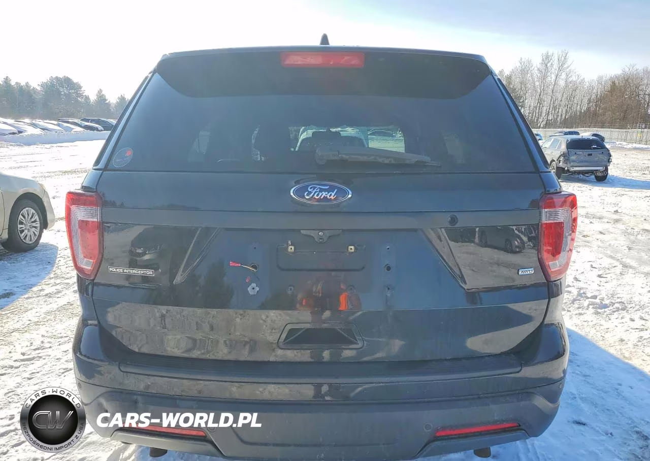 2018 Ford Explorer Police Interceptor VIN:1FM5K8AR6JGB92198 - 6