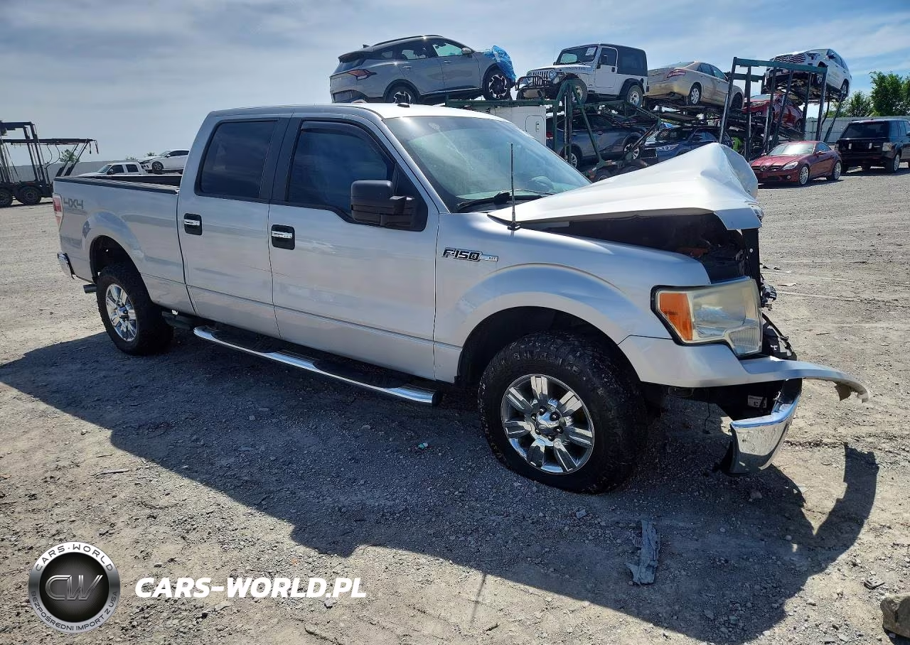 2009 Ford F150 Supercrew VIN:1FTPW14V89FA78867 - 4