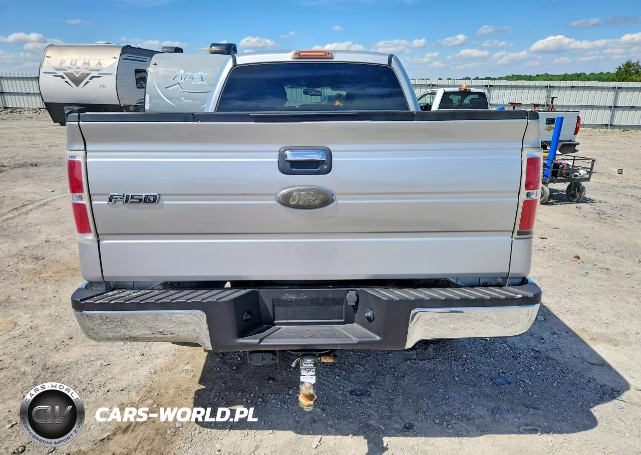 2009 Ford F150 Supercrew VIN:1FTPW14V89FA78867 - 6