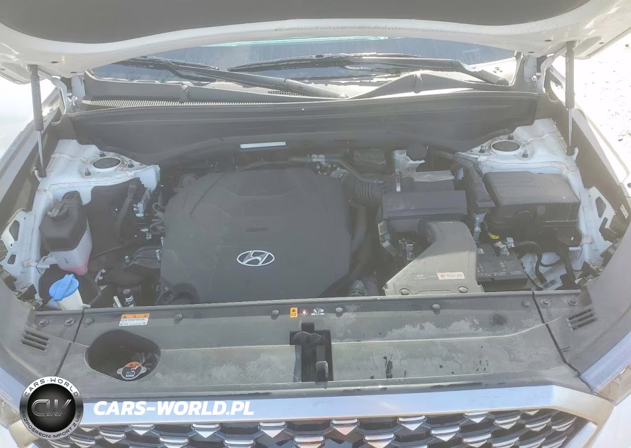 2022 Hyundai Palisade Calligraphy VIN:KM8R7DHE5NU430144 - 12