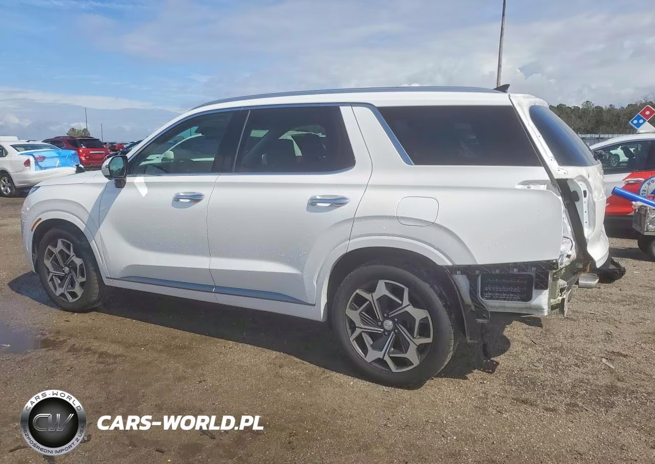 2022 Hyundai Palisade Calligraphy VIN:KM8R7DHE5NU430144 - 2