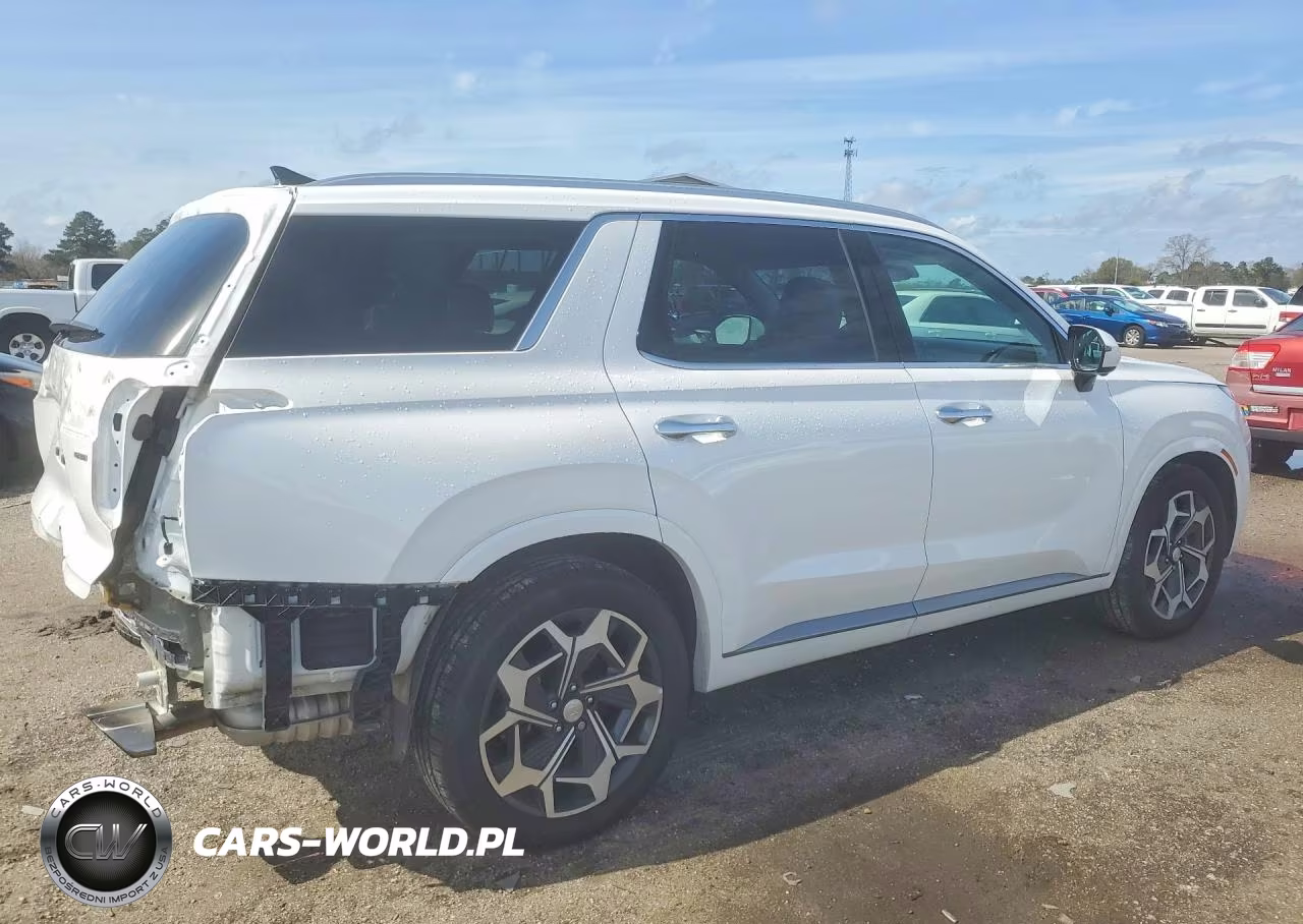 2022 Hyundai Palisade Calligraphy VIN:KM8R7DHE5NU430144 - 3