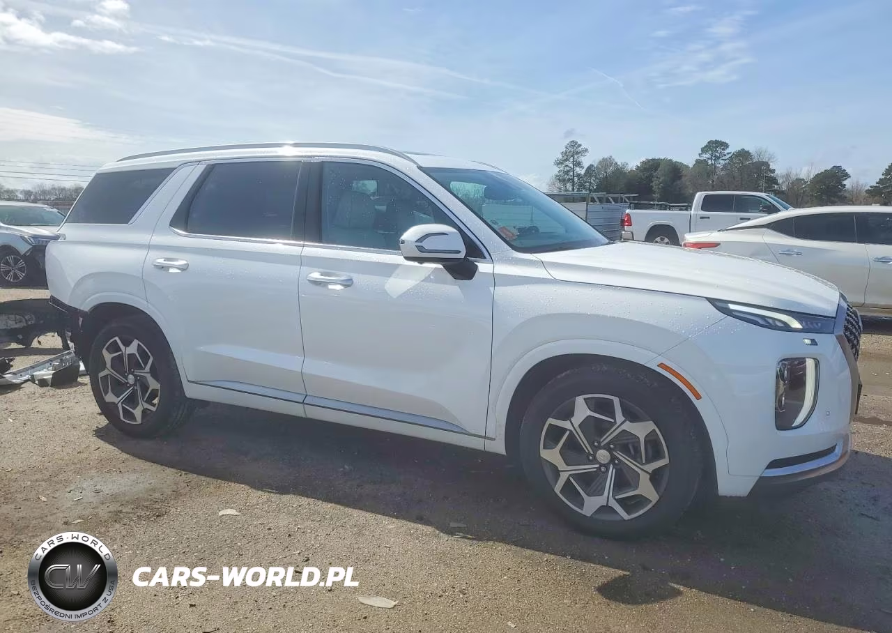 2022 Hyundai Palisade Calligraphy VIN:KM8R7DHE5NU430144 - 4