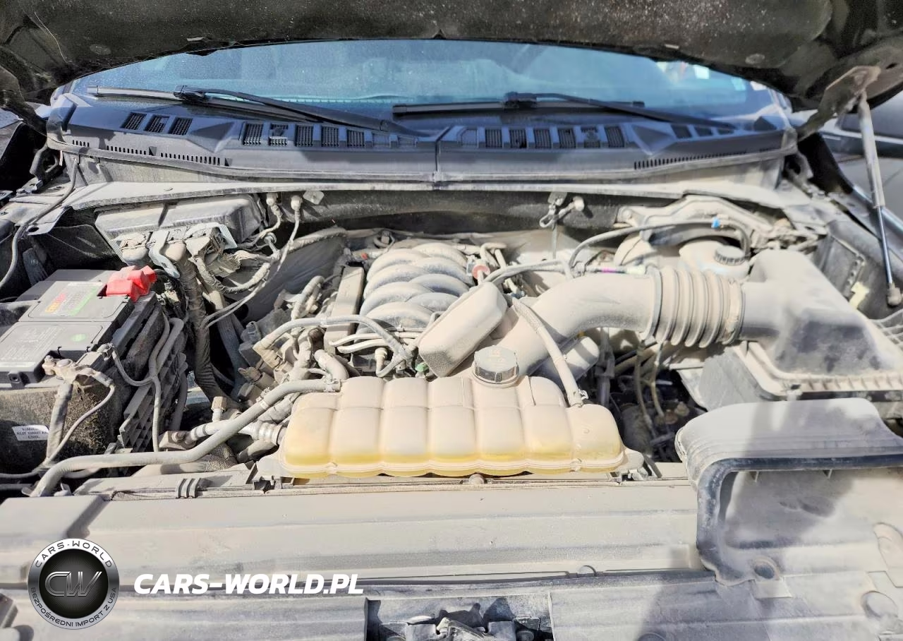 2019 Ford F150 Supercrew VIN:1FTEW1E56KFD52210 - 11