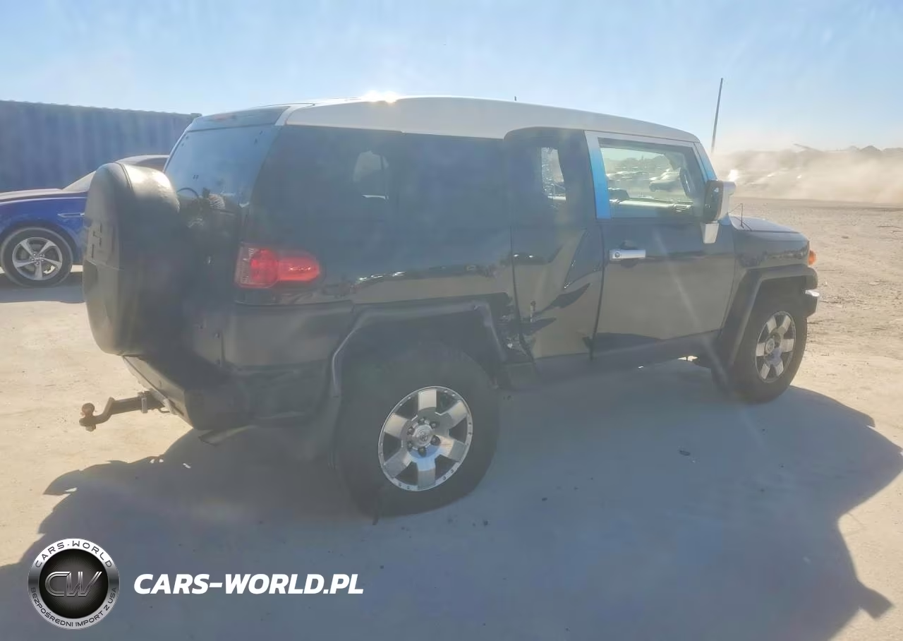 2010 Toyota Fj Cruiser Base VIN:JTEZU4BF5AK009282 - 3