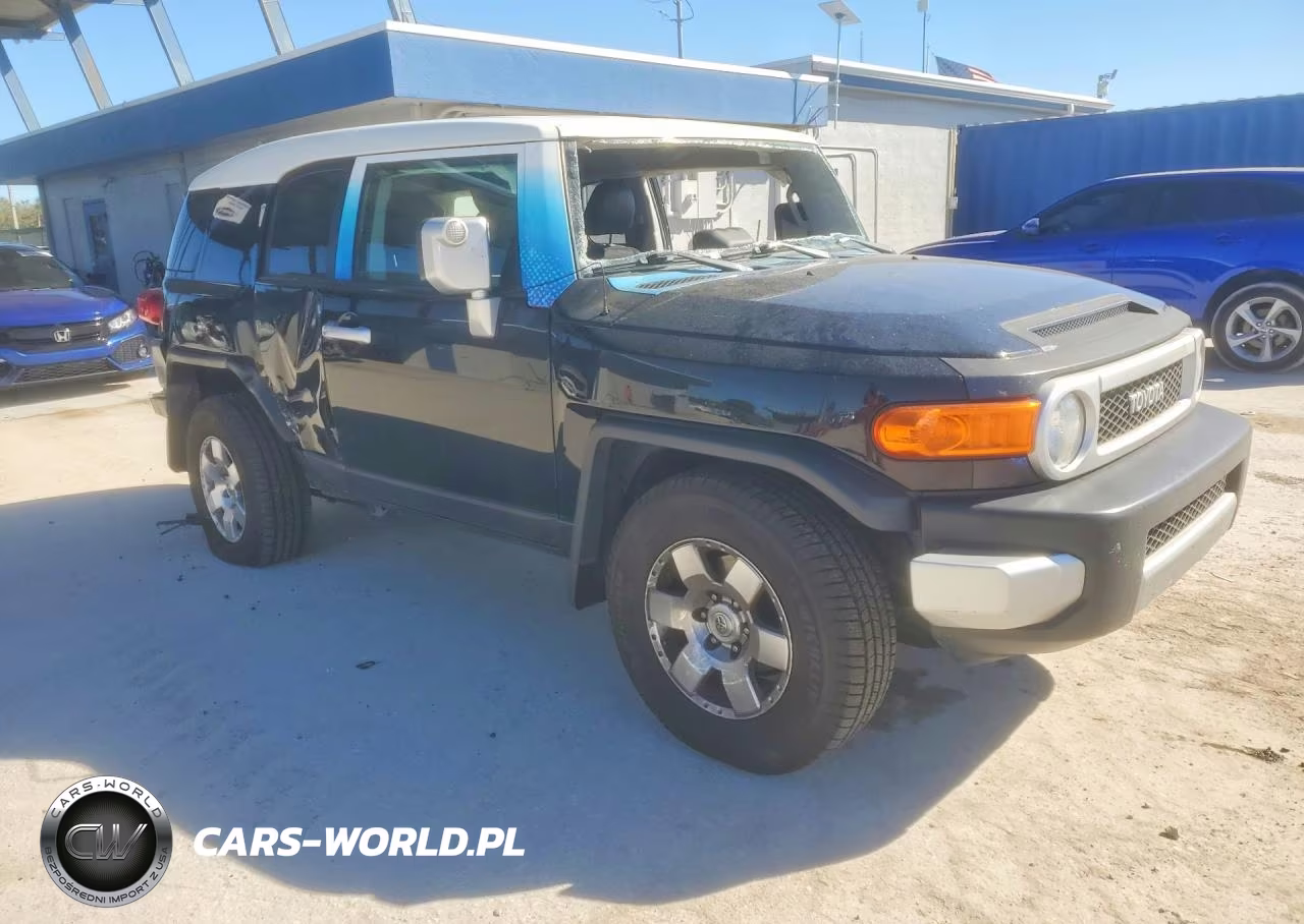 2010 Toyota Fj Cruiser Base VIN:JTEZU4BF5AK009282 - 4