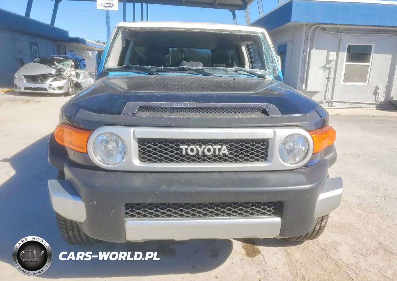 2010 Toyota Fj Cruiser Base VIN:JTEZU4BF5AK009282 - 5