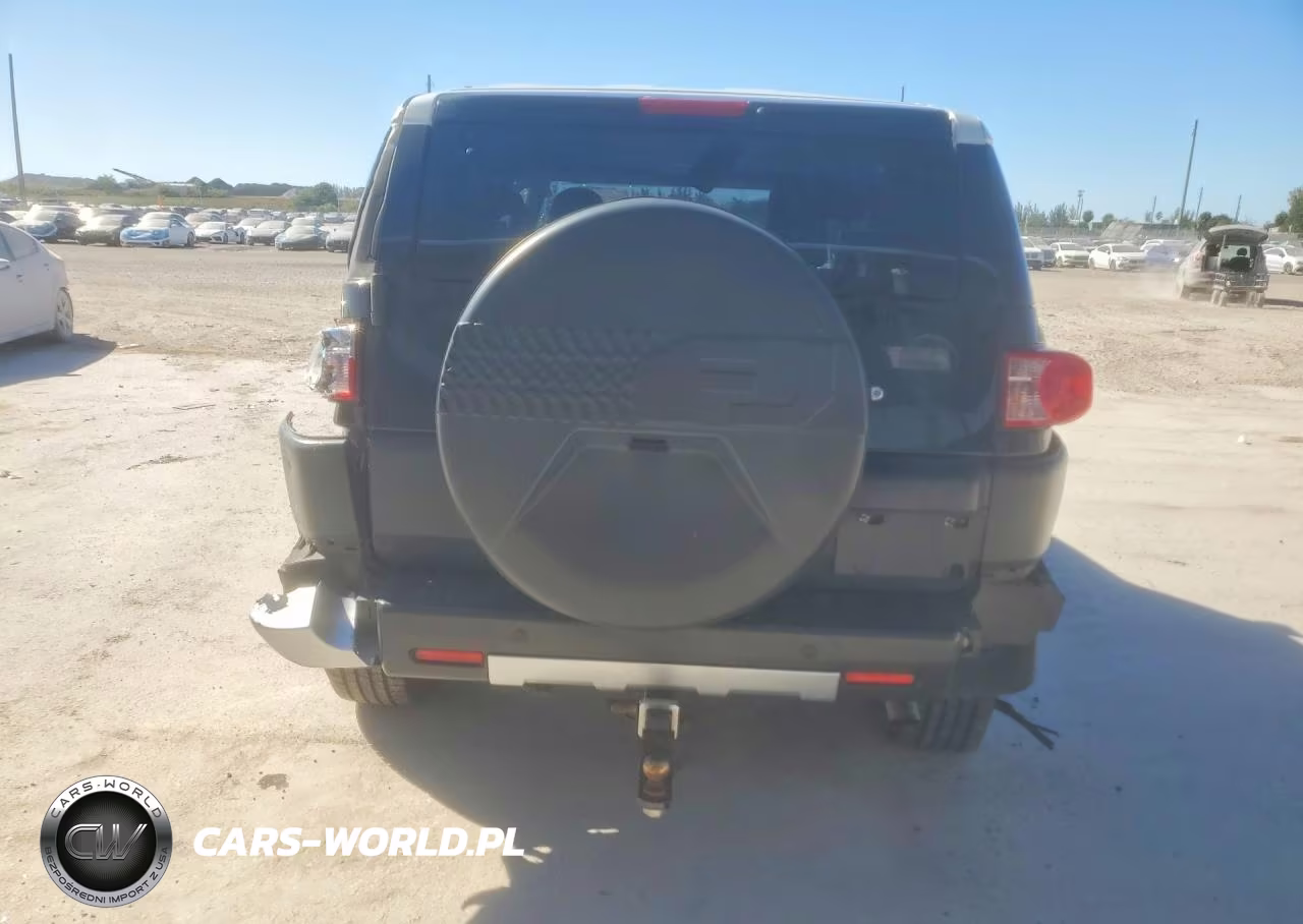 2010 Toyota Fj Cruiser Base VIN:JTEZU4BF5AK009282 - 6