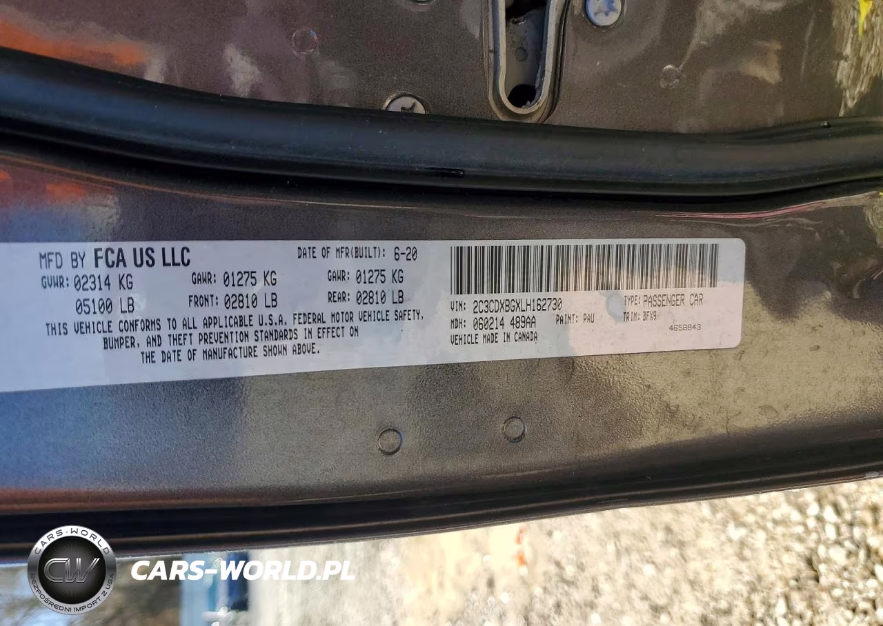 2020 Dodge Charger Sxt VIN:2C3CDXBGXLH162730 - 13