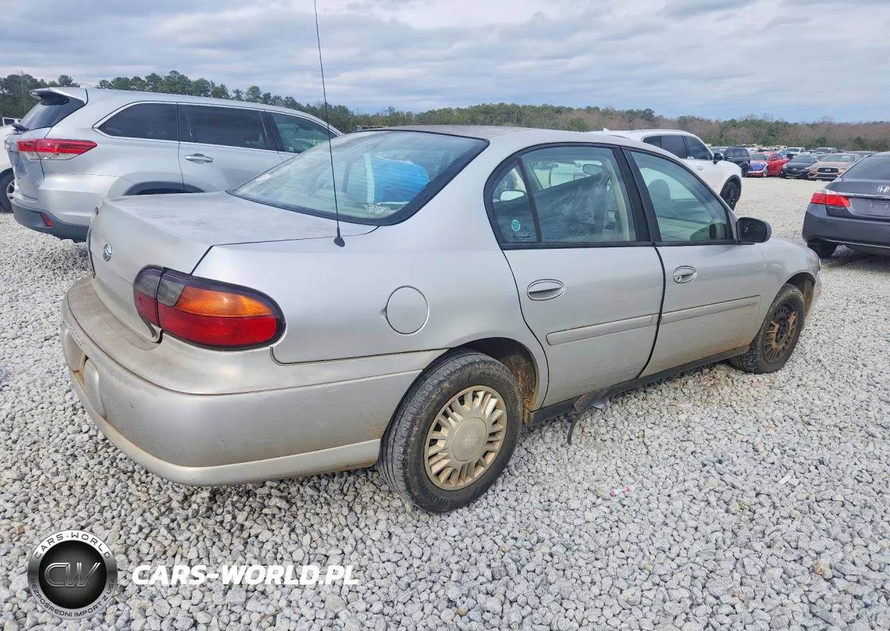 2002 Chevrolet Malibu VIN:1G1ND52JX2M633042 - 3