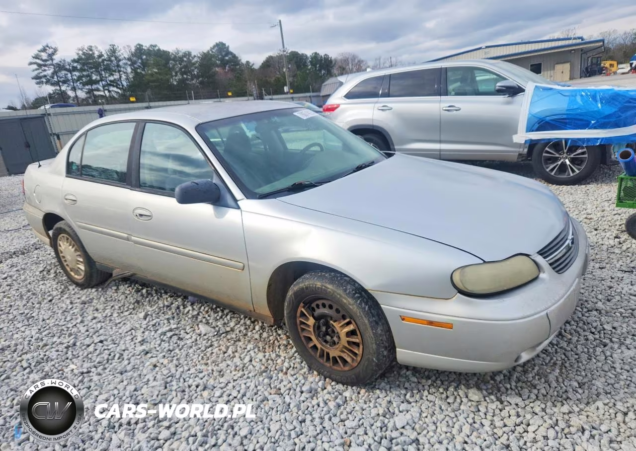 2002 Chevrolet Malibu VIN:1G1ND52JX2M633042 - 4