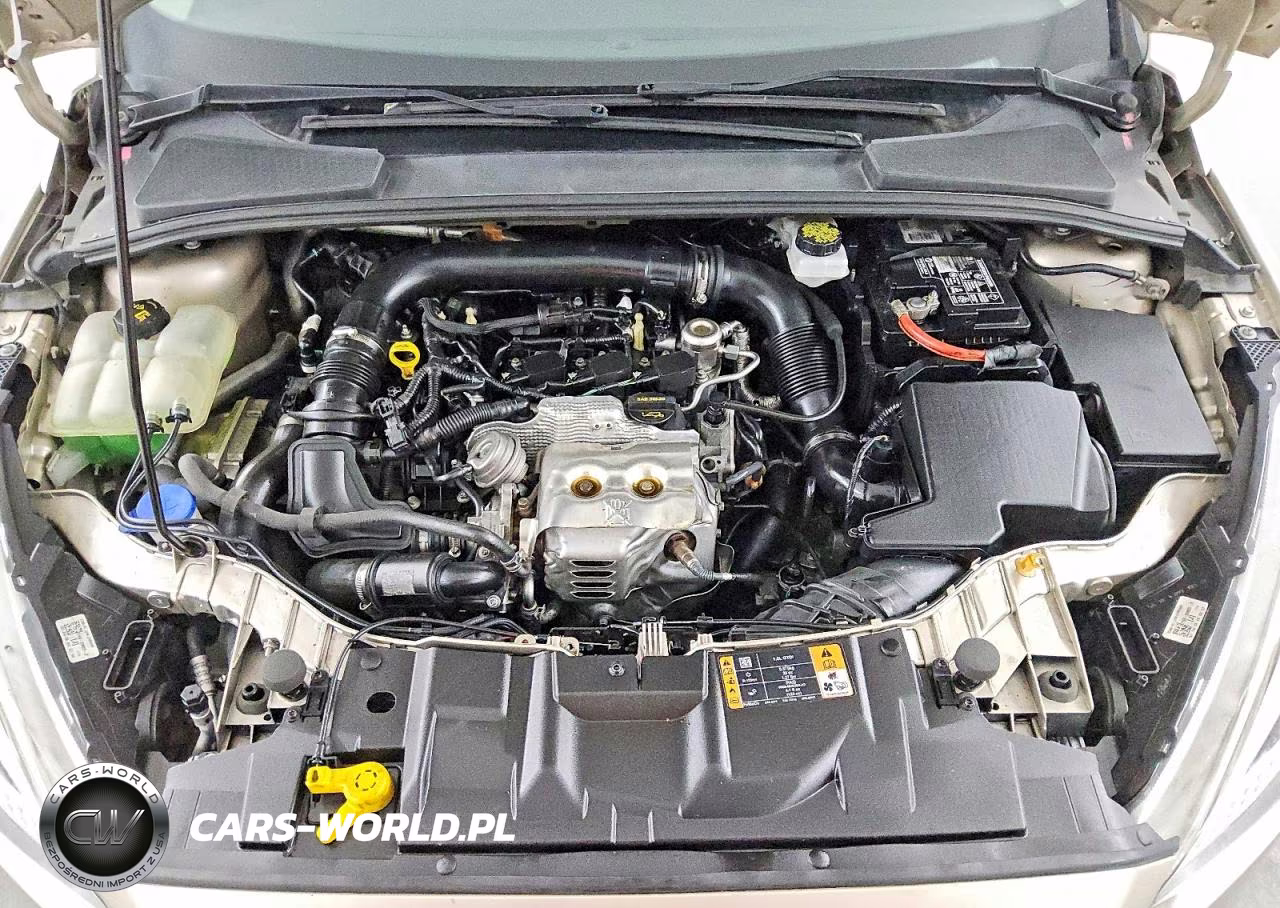 2018 Ford Focus Se VIN:1FADP3FE3JL270511 - 11
