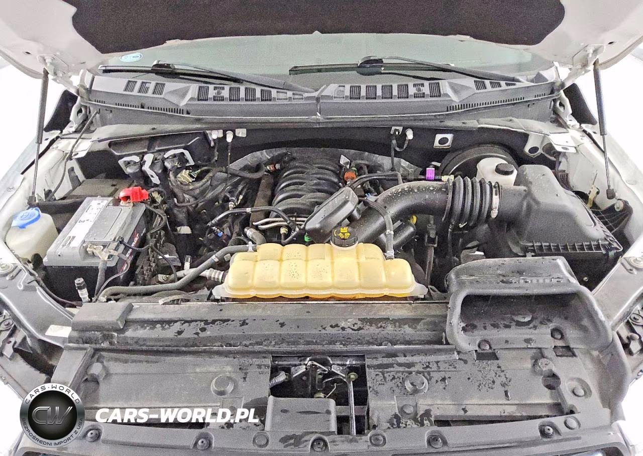 2019 Ford F150 Supercrew VIN:1FTEW1C50KKE09219 - 11