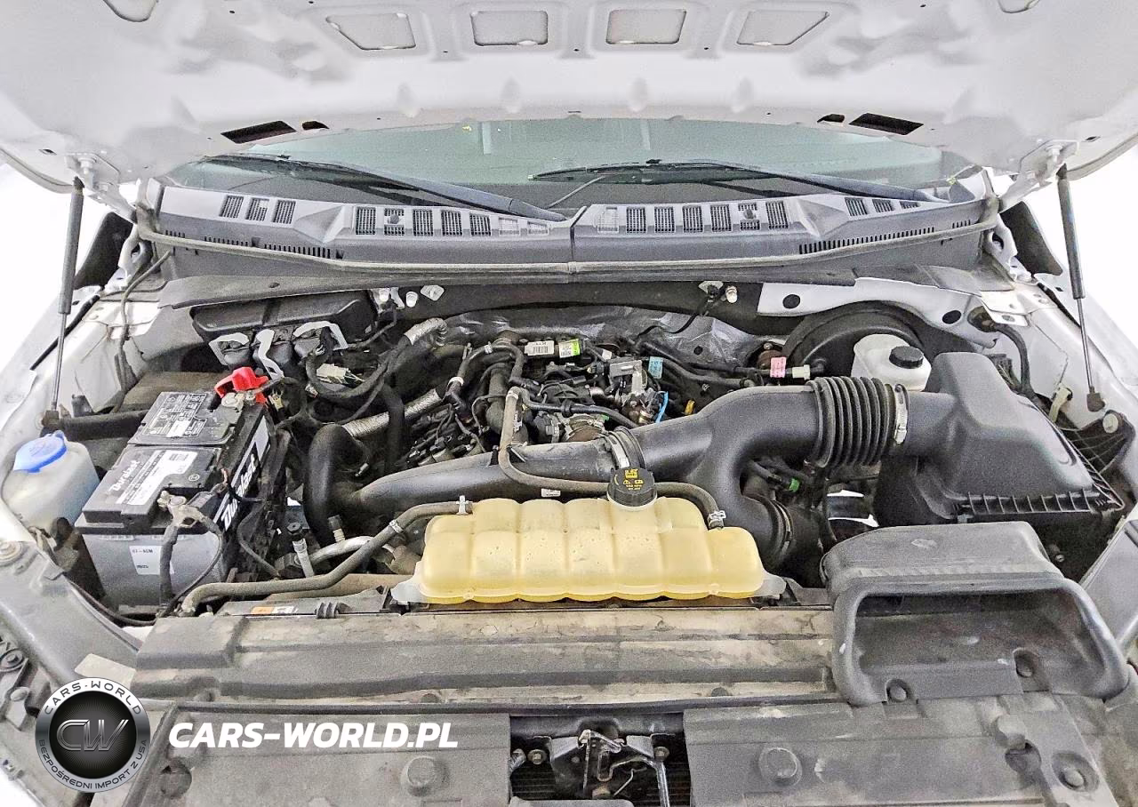 2020 Ford F150 Supercrew VIN:1FTEW1CP5LKD39879 - 11