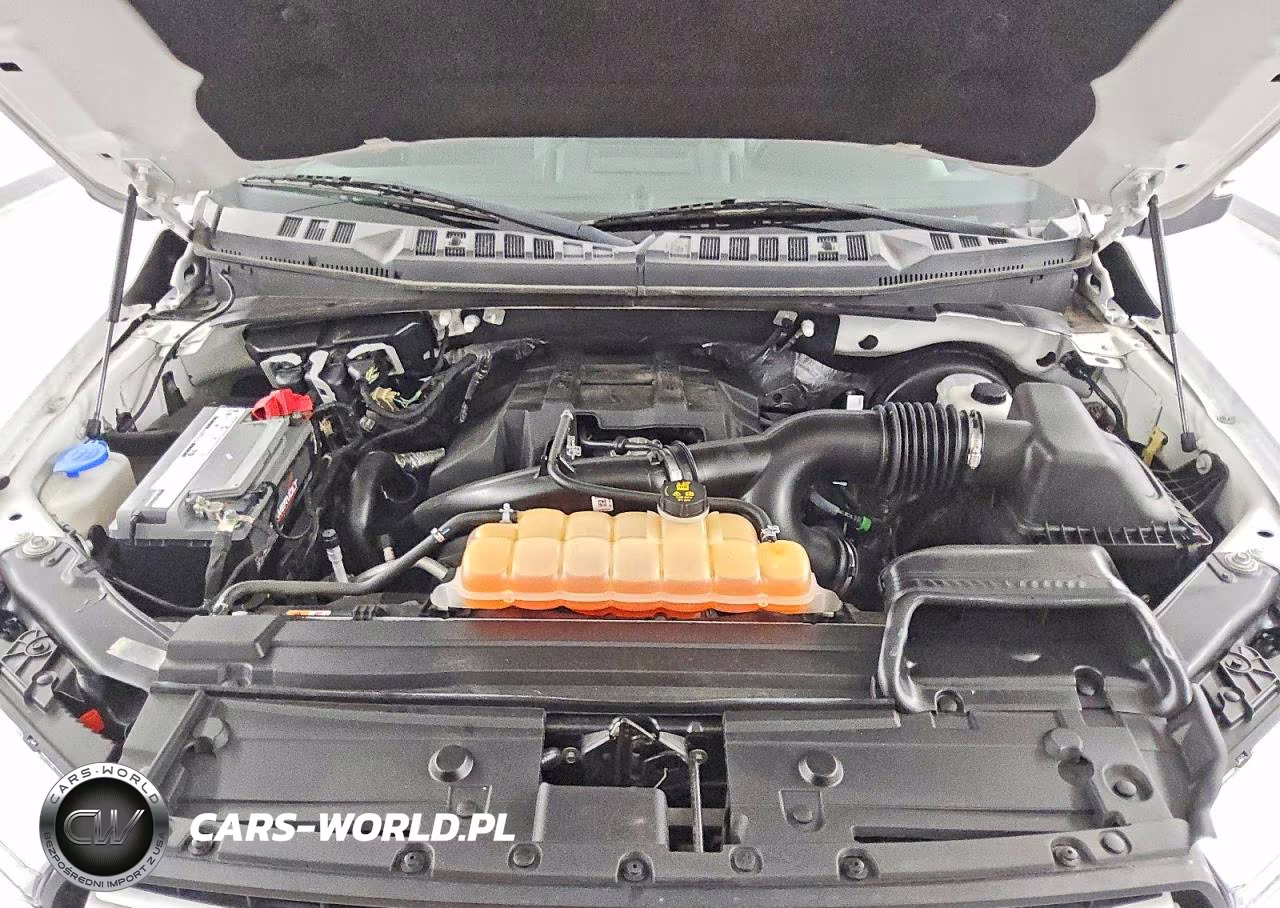 2018 Ford F150 Supercrew VIN:1FTEW1CP9JKC42021 - 11
