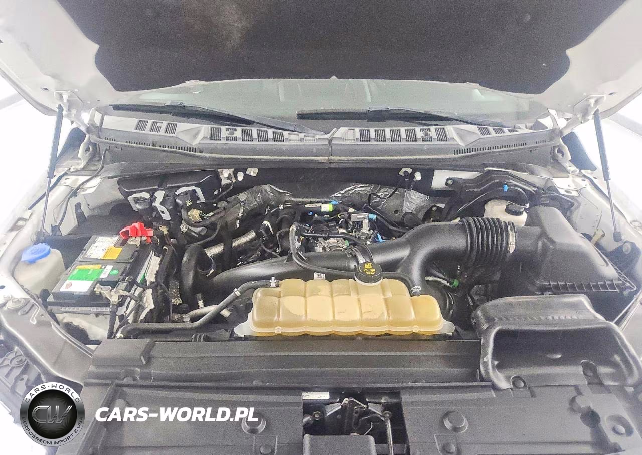 2019 Ford F150 Supercrew VIN:1FTEW1EP5KKD65619 - 11