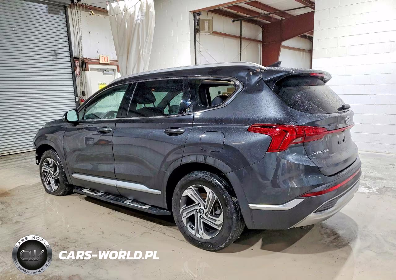 2021 Hyundai Santa Fe Sel VIN:5NMS6DAJ2MH357563 - 2