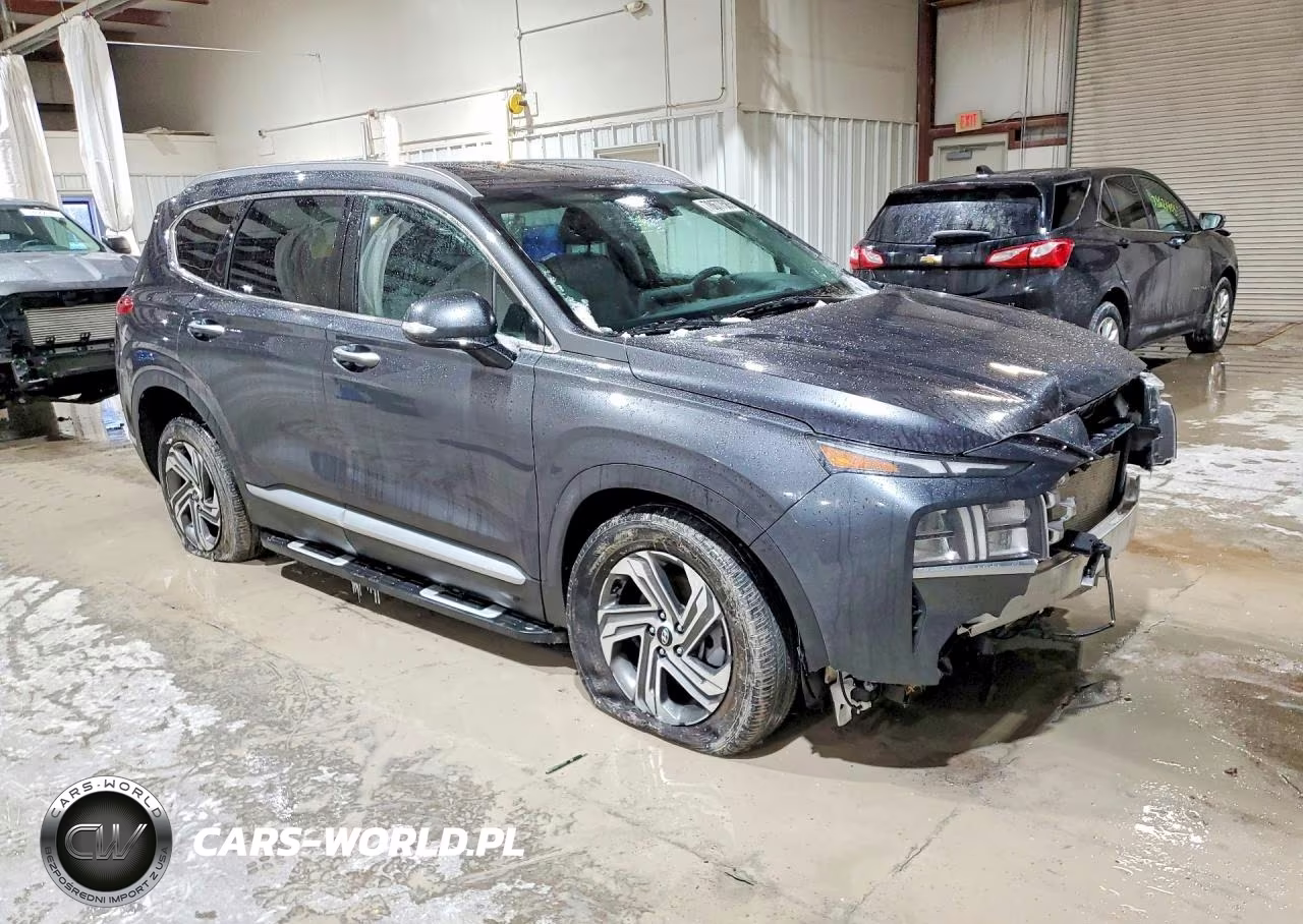 2021 Hyundai Santa Fe Sel VIN:5NMS6DAJ2MH357563 - 4