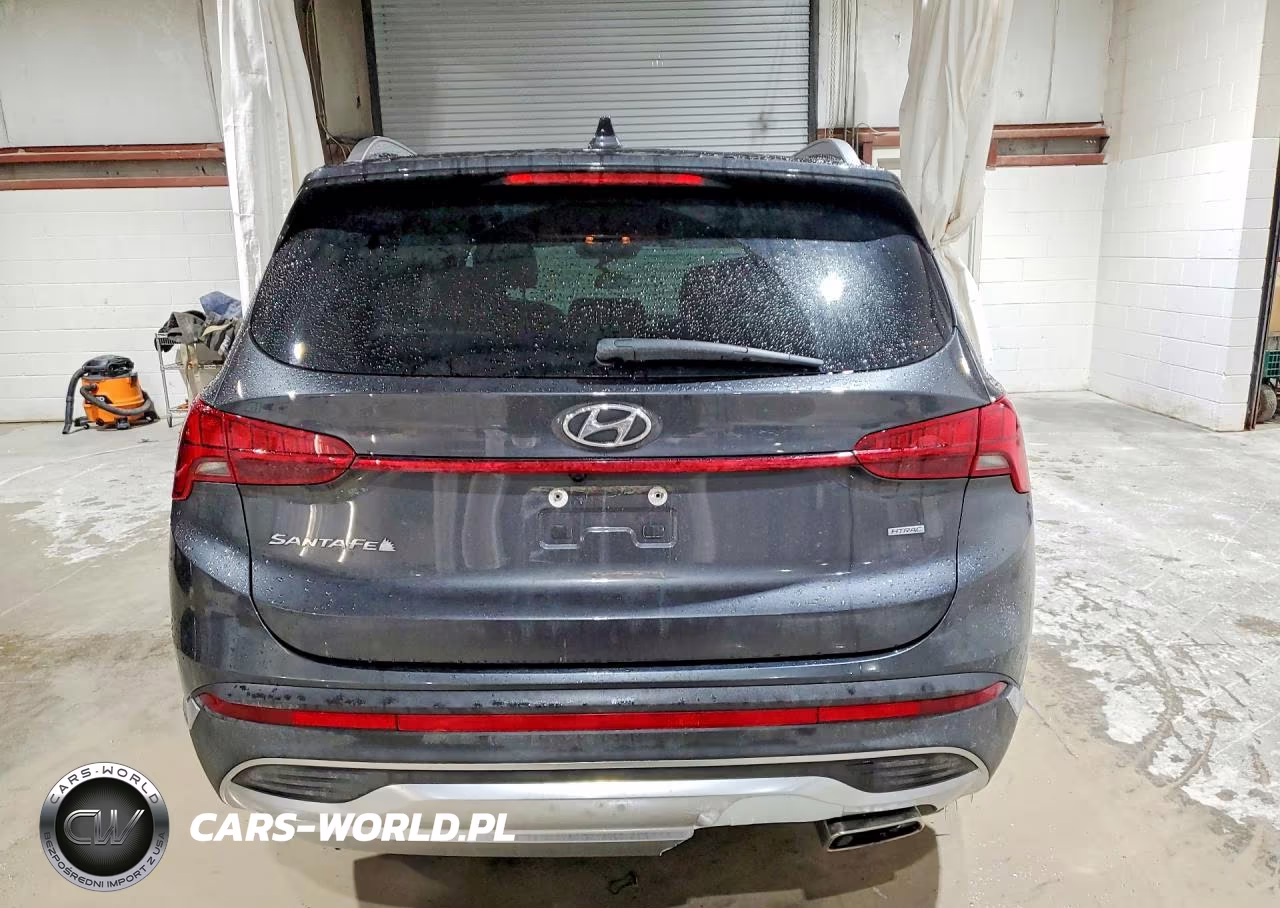2021 Hyundai Santa Fe Sel VIN:5NMS6DAJ2MH357563 - 6