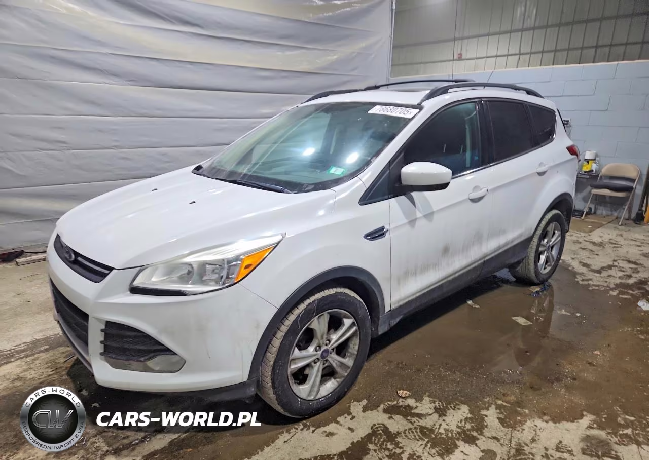 2013 Ford Escape Se