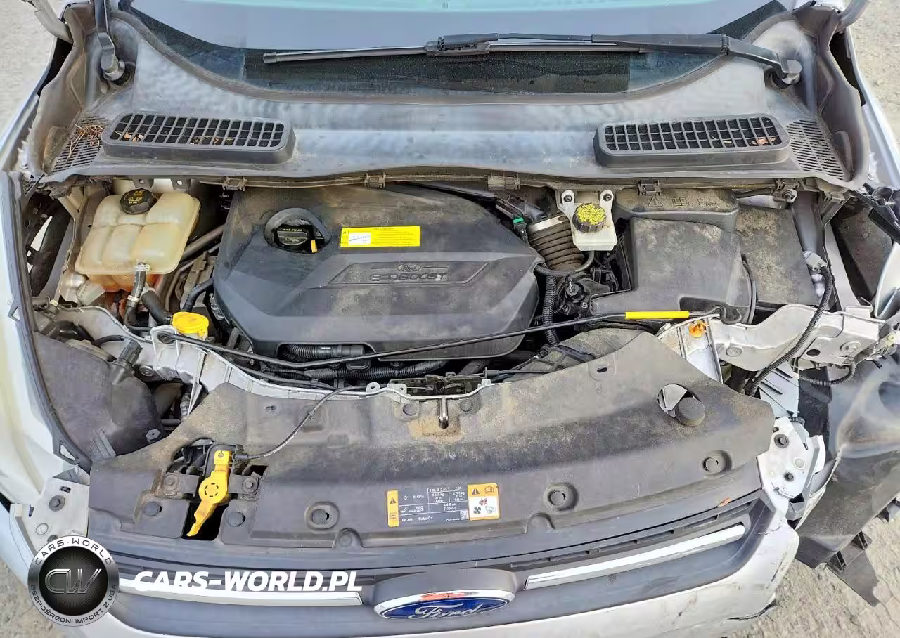 2016 Ford Escape Se VIN:1FMCU0GX4GUB88024 - 12