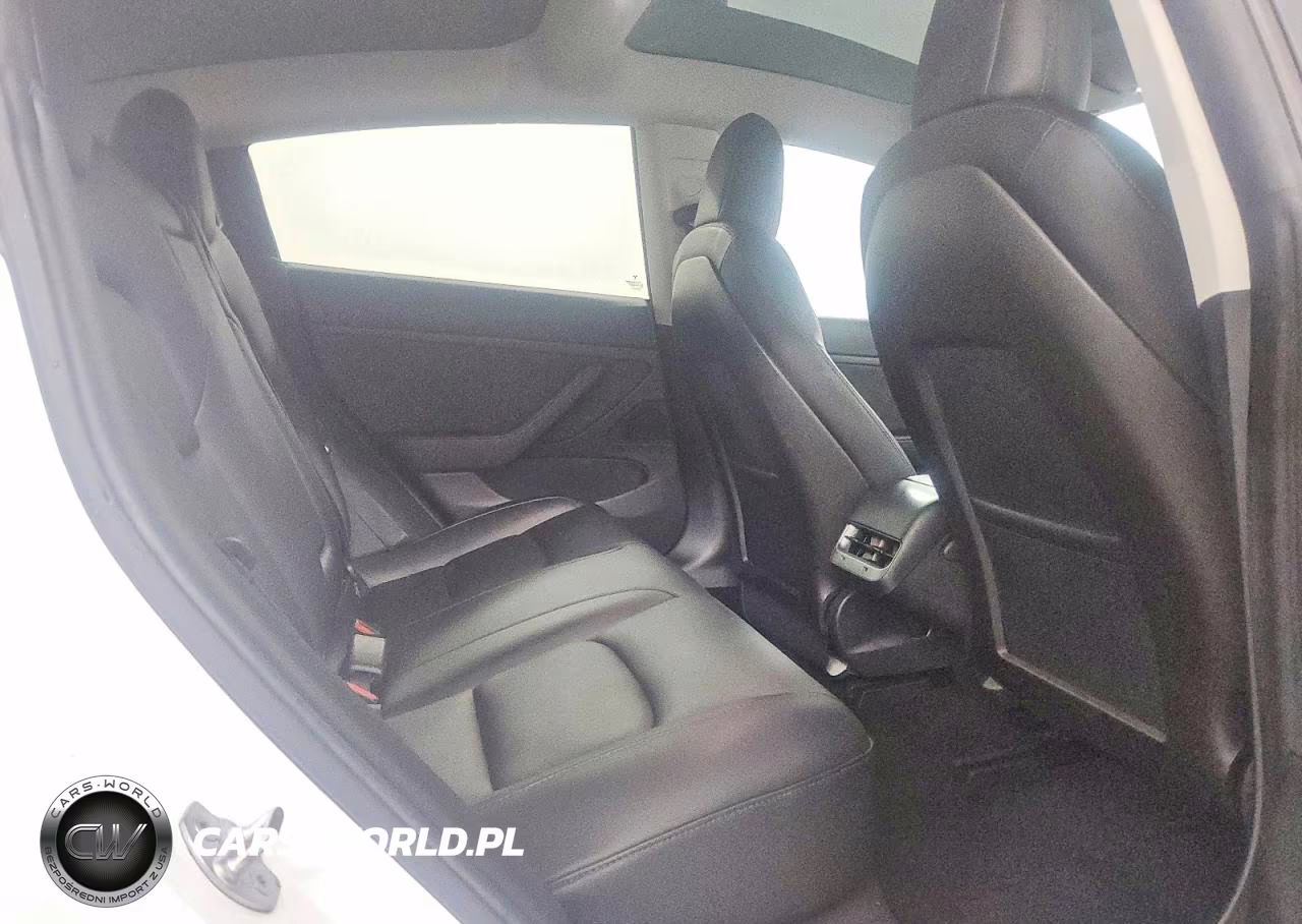 2019 Tesla Model 3 VIN:5YJ3E1EA2KF397351 - 10
