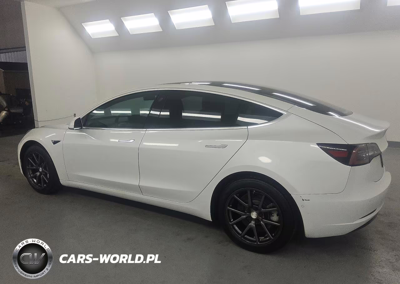 2019 Tesla Model 3 VIN:5YJ3E1EA2KF397351 - 2