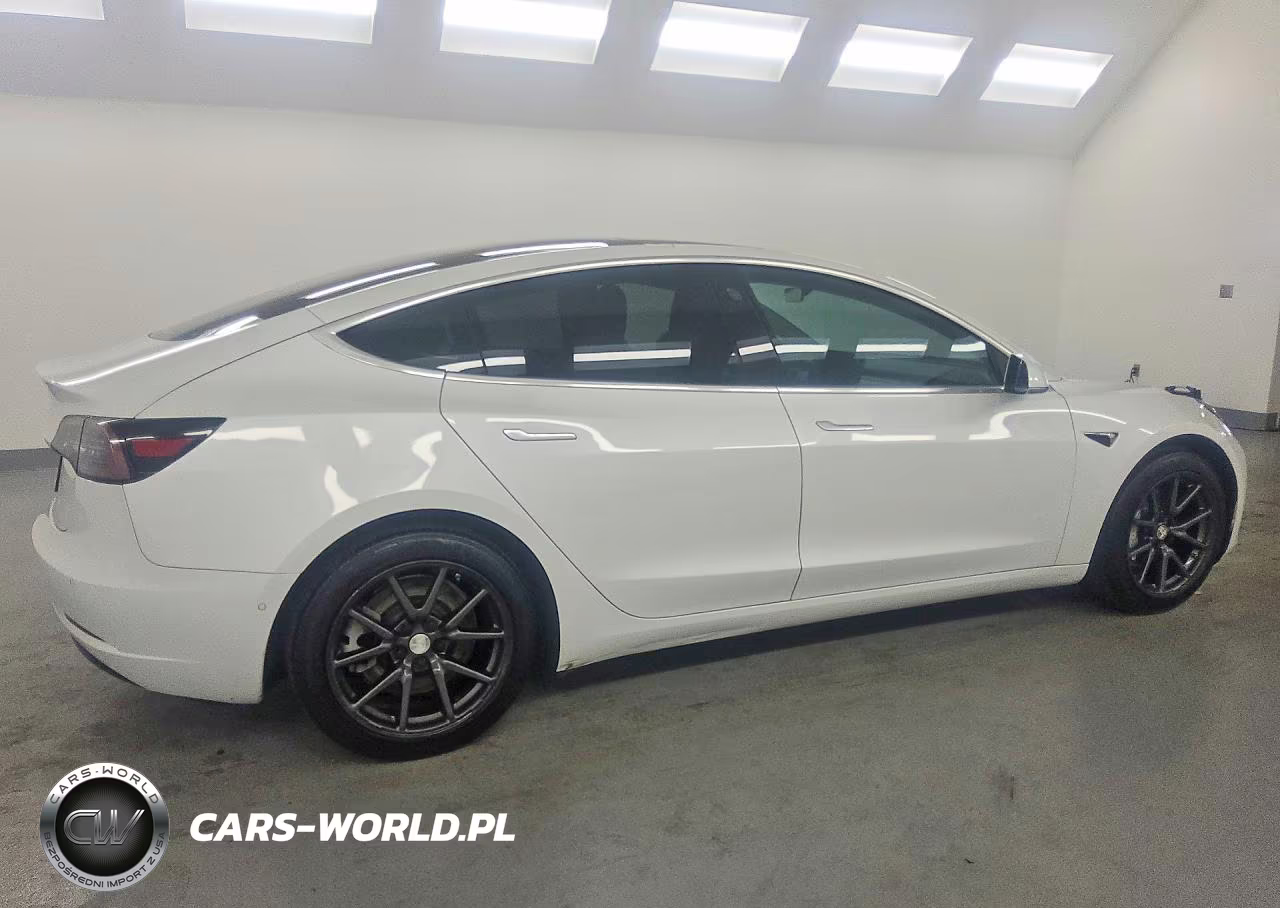 2019 Tesla Model 3 VIN:5YJ3E1EA2KF397351 - 3