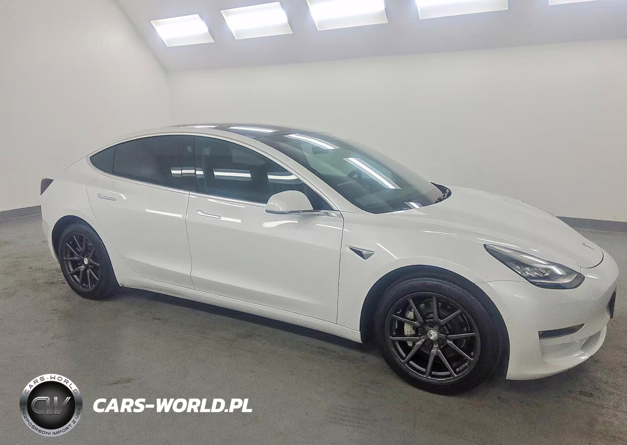 2019 Tesla Model 3 VIN:5YJ3E1EA2KF397351 - 4