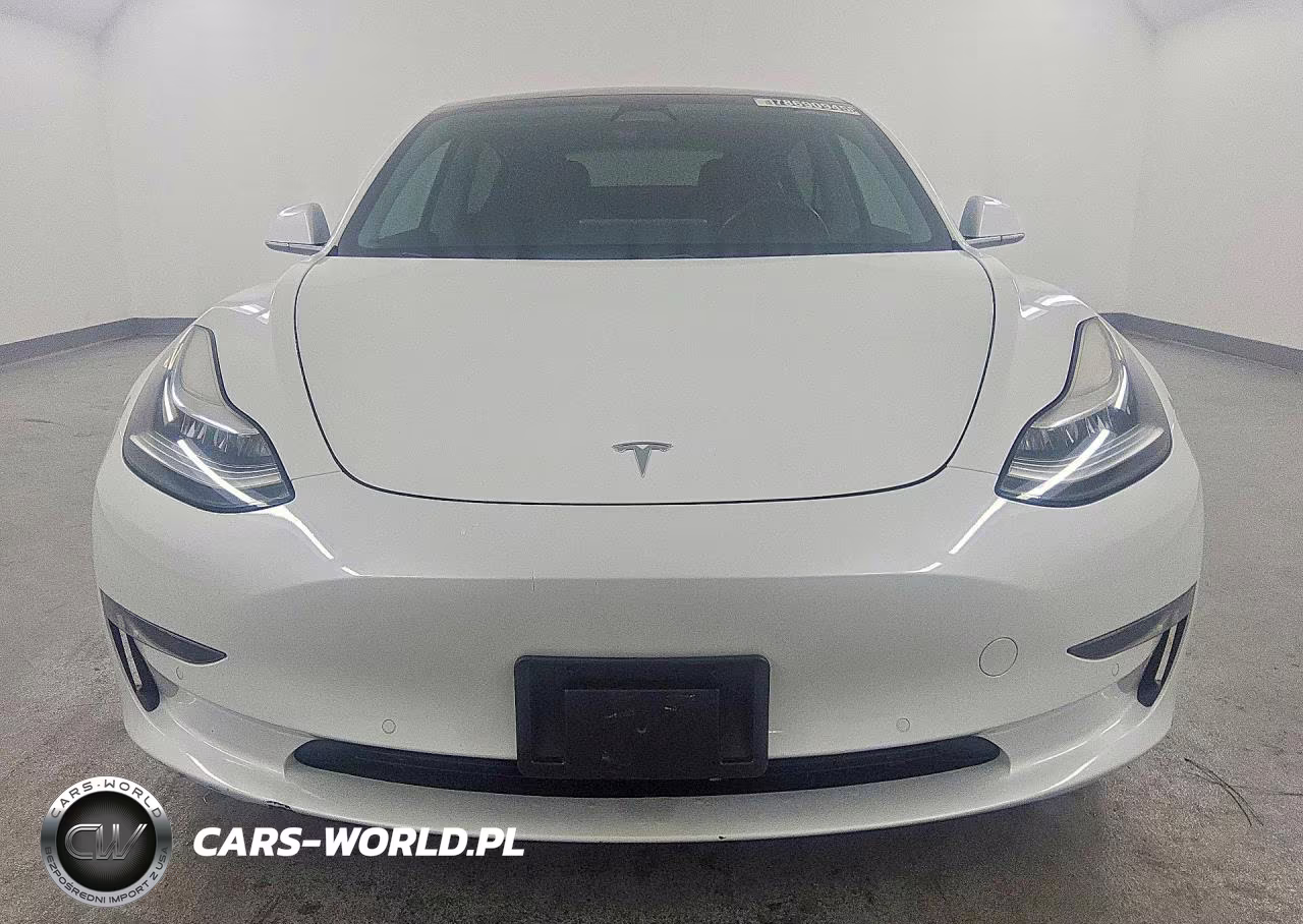 2019 Tesla Model 3 VIN:5YJ3E1EA2KF397351 - 5