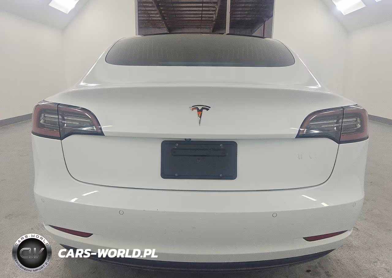2019 Tesla Model 3 VIN:5YJ3E1EA2KF397351 - 6