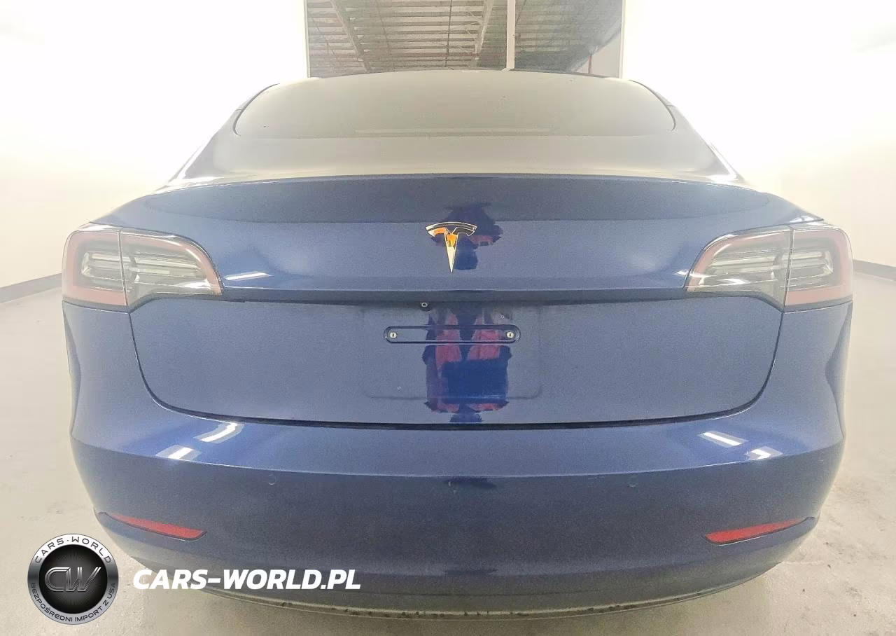 2019 Tesla Model 3 VIN:5YJ3E1EA3KF357697 - 6